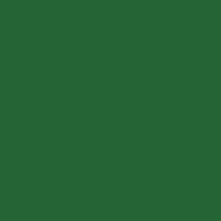 Impermeabilizare Coloris Super Elastic Green 1.2kg (CG406201) imaginea #2 — magazin online Desire.md