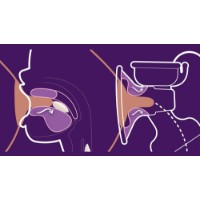Pompa manuală pentru sân Philips Avent (SCF396/31) imaginea #4 — magazin online Desire.md