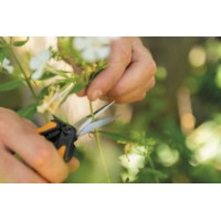 Foarfecă de gradină Fiskars Solid SP13 (1051600) imaginea #3 — magazin online Desire.md