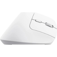 Mouse Trust Bayo+ White (25399) imaginea #4 — magazin online Desire.md