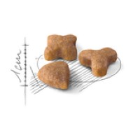 Marfa depreciata! Hrană uscată pentru pisici Royal Canin Sensible 33 15kg imaginea #2 — magazin online Desire.md