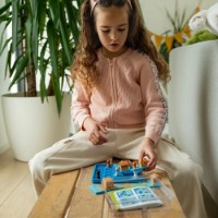Настольная игра Smart Games Cats and Boxes RO (SG450) фото №2 — интернет-магазин Desire.md