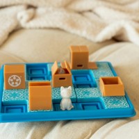 Настольная игра Smart Games Cats and Boxes RO (SG450) фото №3 — интернет-магазин Desire.md
