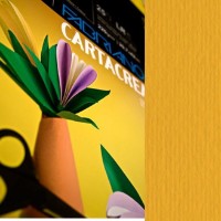 Цветная бумага Fabriano Cartacrea 35x50cm Ferro (46435122) фото №2 — интернет-магазин Desire.md