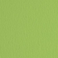 Цветная бумага Fabriano Cartacrea 35x50cm Verde pisello (46435110)