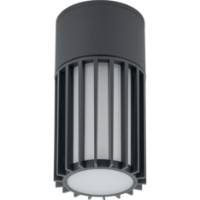 Spot Tk-Lighting Ribo 11508 Grey