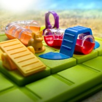 Joc educativ de masa Smart Games Smart Dog RO (SG451) imaginea #2 — magazin online Desire.md