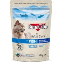 Hrană umedă pentru pisici BonaCibo Adult Cat Fish Sauce 12x85g