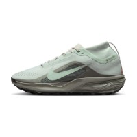 Adidași pentru bărbați Nike ACG Pegasus Trail Gore-Tex Light Silver/Light Army/Safety Orange, s.42 imaginea #2 — magazin online Desire.md