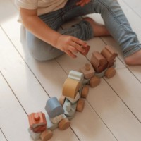 Jucarie de impins si tras Little Dutch Forest Friends: Squirrel (LD7235) imaginea #6 — magazin online Desire.md