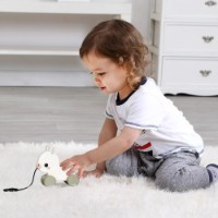 Jucarie de impins si tras Tooky Toy Rabbit (HP010A) imaginea #3 — magazin online Desire.md
