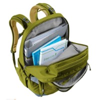 Rucsac școlar Deuter Cotogy Cactus-Kelp 28L (3831026-1219) imaginea #8 — magazin online Desire.md