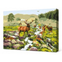 Tablou pe numere Art Gallery Premium Animale la rau 20x30cm (CX4421)