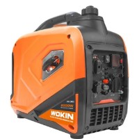 Электрогенератор Wokin 791361