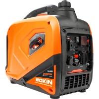 Электрогенератор Wokin 791362