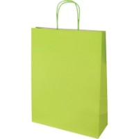 Пакет крафт Florio Carta 18x25cm Green (SH31130)