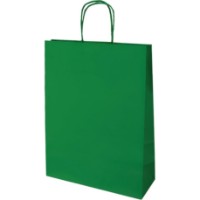 Pungă kraft Florio Carta 22x32cm Green (SH31338)