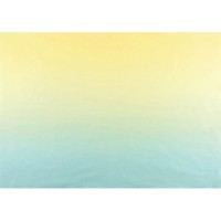 Set hârtie tissue Folia Shades Of Rainbows 50×70cm 6pcs (91078) imaginea #2 — magazin online Desire.md