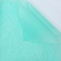 Hârtie tissue New World 134 Pastel Green 40pcs