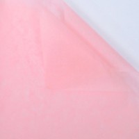 Hârtie tissue New World 169 Sorbet 40pcs