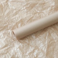 Hârtie tissue New World Pearls 156 Latte 20pcs