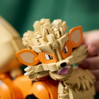 Set de construcție Lego Pokémon: Arcanine (72160) imaginea #2 — magazin online Desire.md