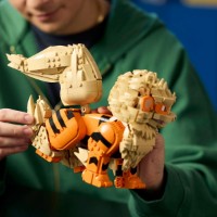Set de construcție Lego Pokémon: Arcanine (72160) imaginea #3 — magazin online Desire.md