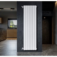 Radiator Fondital Ledro S/90 H=2000 White (30GL6405) imaginea #2 — magazin online Desire.md