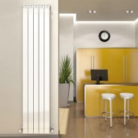 Radiator Fondital Maior Aleternum 100 (30M 0100) imaginea #2 — magazin online Desire.md