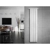 Radiator Fondital Maior Aleternum 100 (30M 0100) imaginea #4 — magazin online Desire.md
