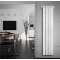 Radiator Fondital Maior Aleternum 120 (30M 0120) imaginea #4 — magazin online Desire.md