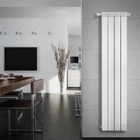 Radiator Fondital Maior Aleternum 140 (30M 0140) imaginea #3 — magazin online Desire.md