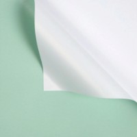 Бумага корейская New World Bicolor 58x58cm 081 White + Pastel Green 20pcs