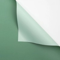 Бумага корейская New World Bicolor 58x58cm 095 Two Shades of Green 20pcs
