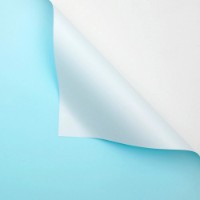 Бумага корейская New World Bicolor 58x58cm 131 White + Blue 20pcs 