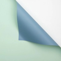 Бумага корейская New World Bicolor 58x58cm 134 Green + Blue 20pcs