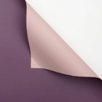 Бумага корейская New World Bicolor 58x58cm 232 Purpur  + Lilac 20pcs 