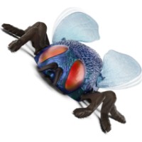 Jucarii interactive Battat Climbing Fly Mouche Blue (AN2945Z) imaginea #3 — magazin online Desire.md