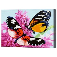 Tablou pe numere Art Gallery Premium Fluturași pe flori 20x30cm (CX4788)