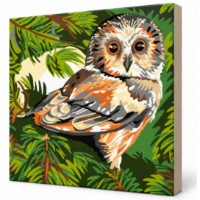 Tablou pe numere Art Gallery Premium Bufnita mica 20x30cm (CX3754)