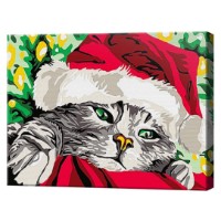 Tablou pe numere Art Gallery Premium Motan festiv 20x30cm (CX3752)