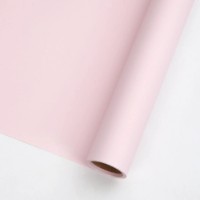 Hârtie coreană New World Full Color 58cm 165 Light Pink 10m