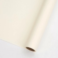 Hârtie coreană New World Full Color 58cm 242 Ivory 10m