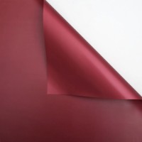 Hârtie coreană New World Full Color 58x58cm 011 Wine 20pcs 
