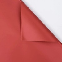Hârtie coreană New World Full Color 58x58cm 012 Red 20pcs