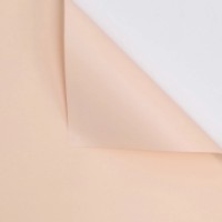 Hârtie coreană New World Full Color 58x58cm 053 Peach 20pcs 