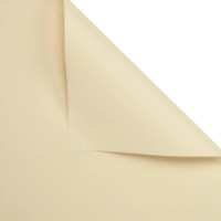 Hartie coreana New World Full Color 58x58cm 064 Cappuccino 20pcs