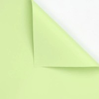 Hârtie coreană New World Full Color 58x58cm 082 Light Green 20pcs 