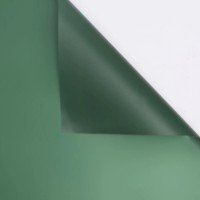 Hârtie coreană New World Full Color 58x58cm 091 Emerald 20pcs