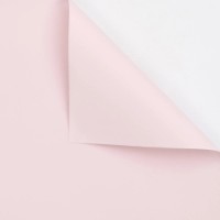 Hârtie coreană New World Full Color 58x58cm 165 Light Pink 20pcs